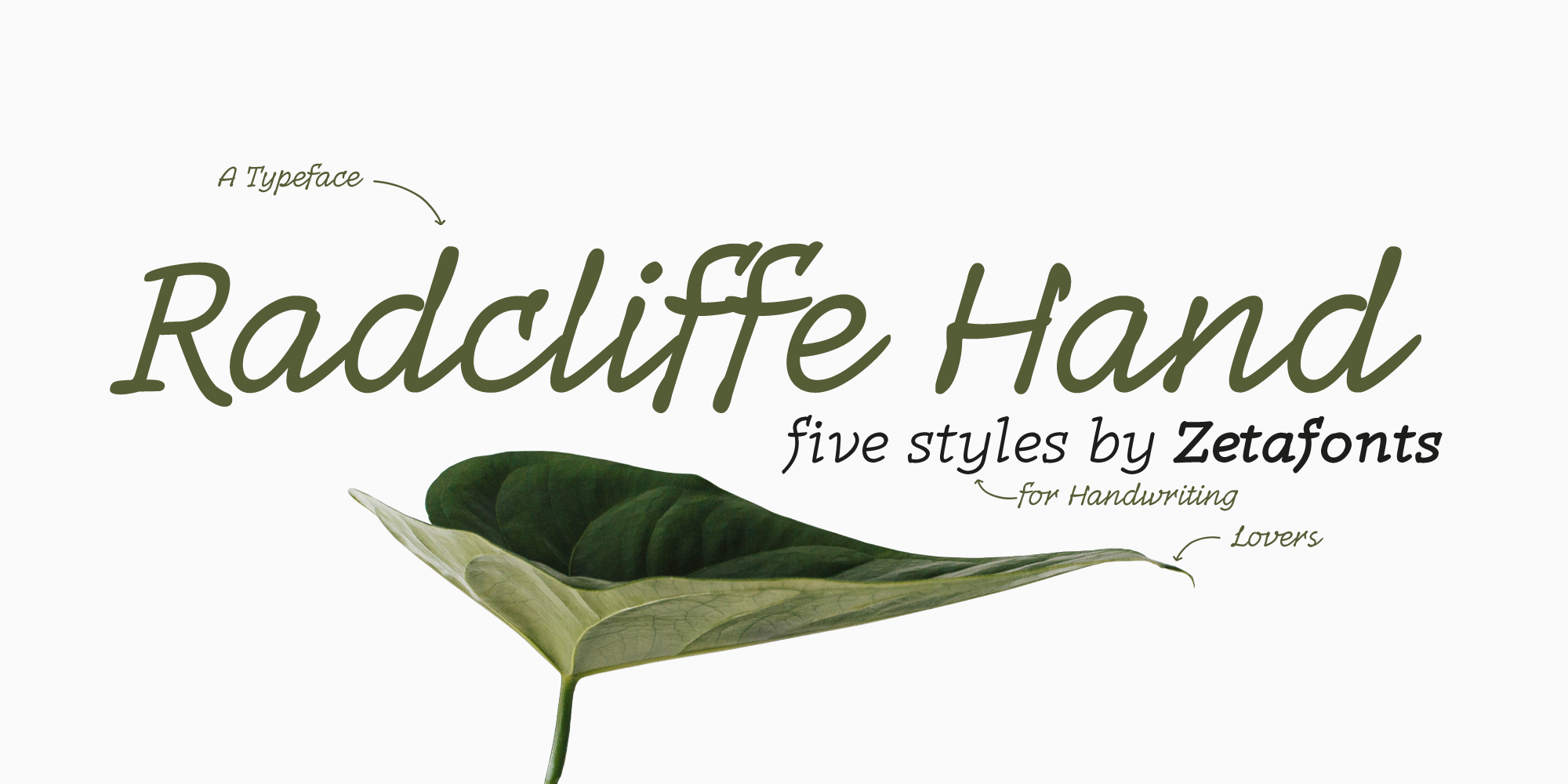 Radcliffe Hand Typeface By Zetafonts